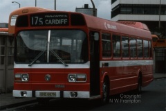 Red & White N475 (GHB687N) in Cardiff Bus Station, displaying a 'Leyland National peculiarity' - the tendency for destination blinds to slip. Of course, it may be that the driver had not positioned the blind correctly, but the slippage was a known problem, that sometimes confused passengers if it slipped too far! The 175 service operated between Cardiff and Hirwaun/Neath or Swansea via Aberdare, and the staff at Aberdare had already agreed to one-person-operation of large single deckers by 1975, unlike their colleagues in the Monmouthshire valleys who would not consider OPO for any vehicle with more than 45 seats.